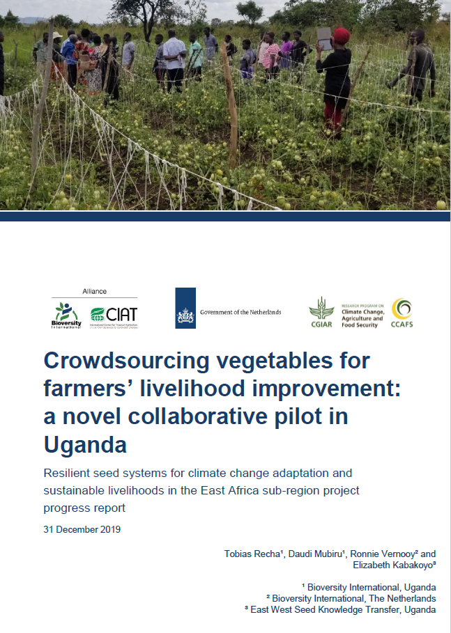 report cover