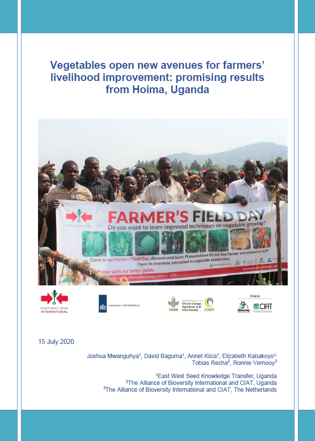 report cover