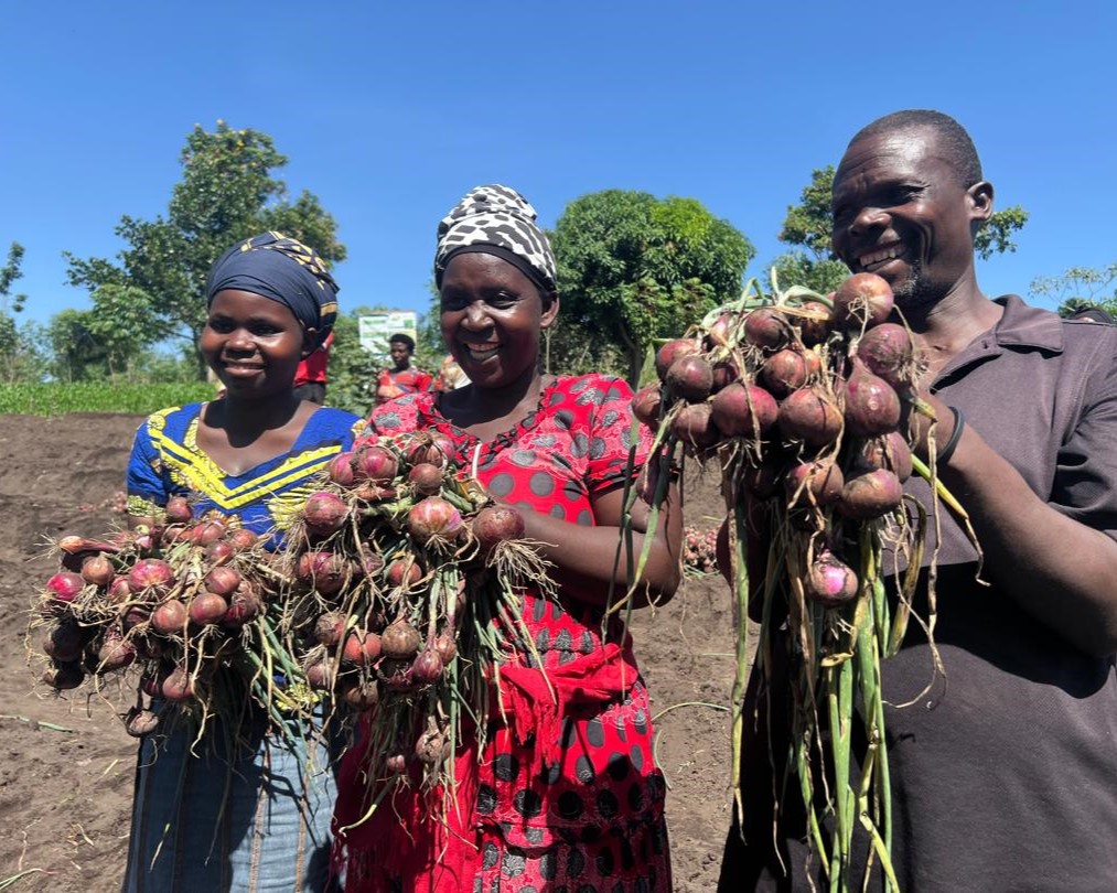 Smiling farmers hold harvested onions.