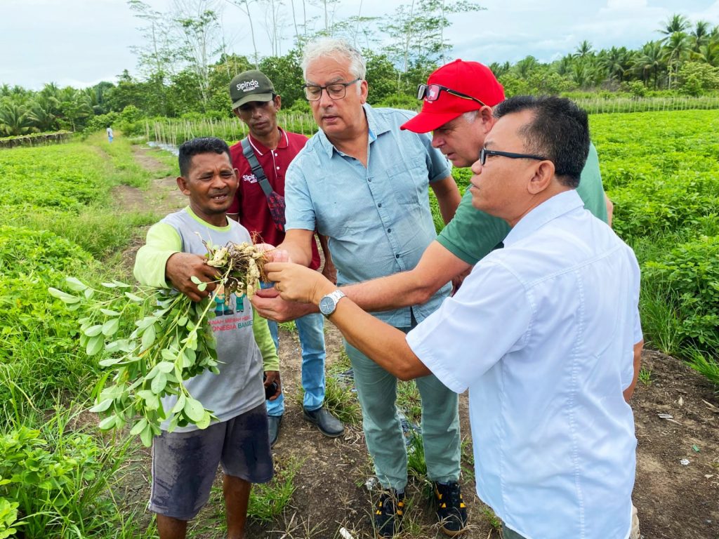 Flip van Koesveld, EWS-KT Director Stuart Morris, and Yayasan Bina Tani Sejahtera Extension Manager Edwin Saragih look at the plant an Indonesian farmer is holding.
