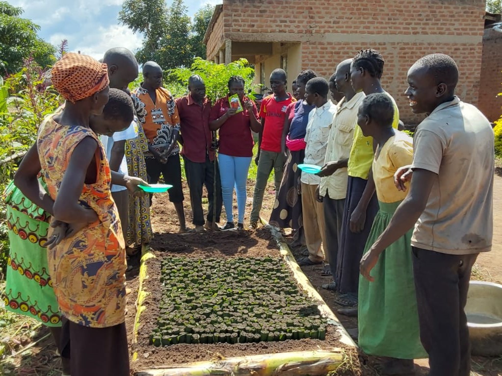 Female and male farmers around a bed of leaf pots for seedlings.