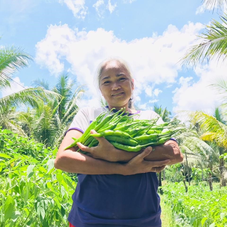 Farmer Mirasol Abalora stands in her farm with harvested peppers cradled in her arms.