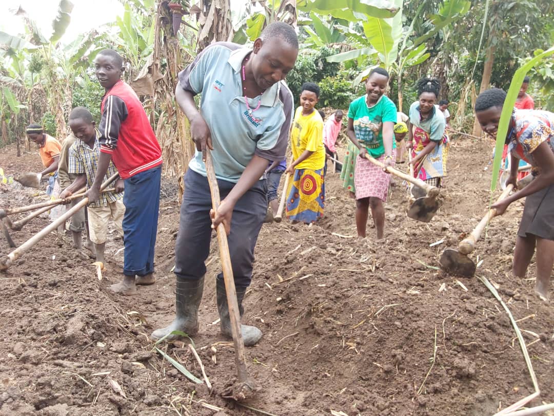 Group of people using hoes to prepare soil.