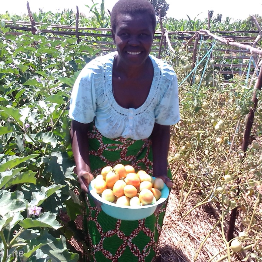 Farmer Susan Sunday holding a bowl of freshly harvested tomatoes in her vegetable plot.