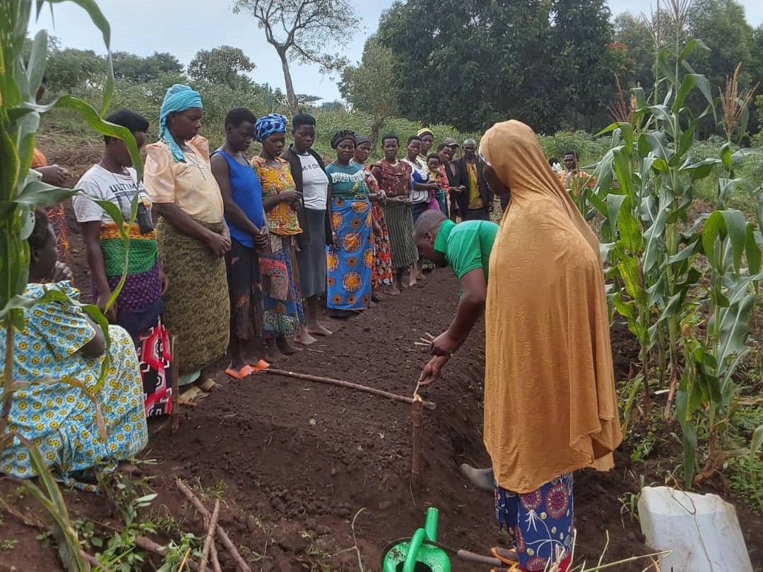 Technical Field Officer uses a stick to show farmers how to space onion rows.