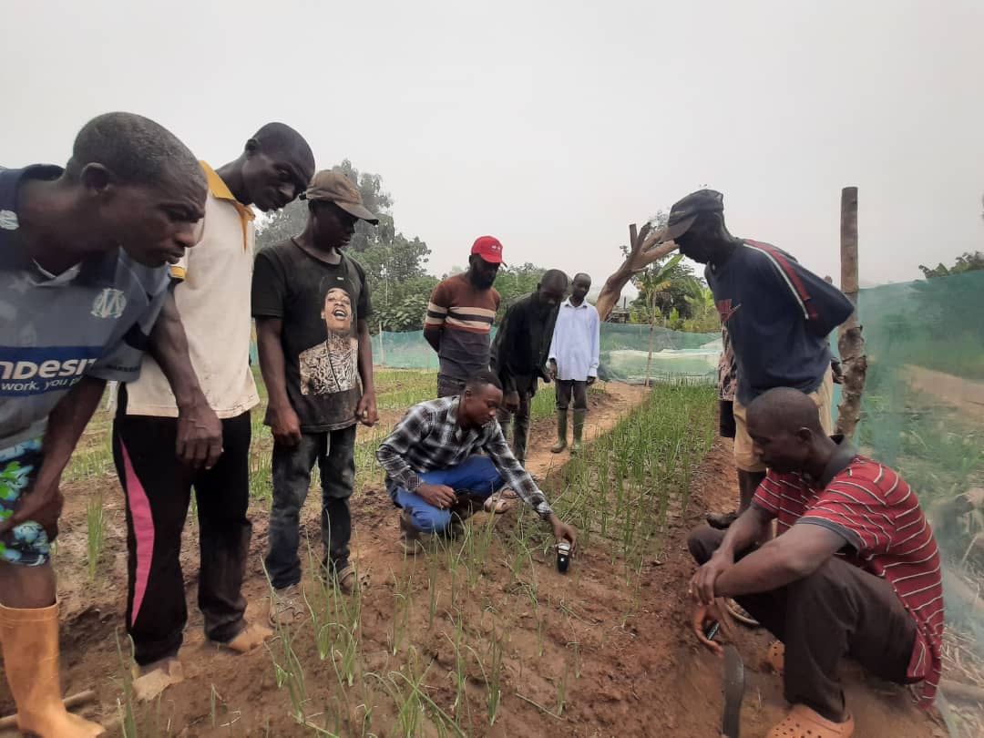 A group of farmers watch as Technical Field Officer Simon Ossom demonstrates the use of a soil pH meter.