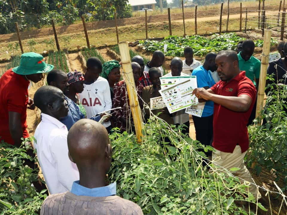 EWS-KT staff member holds up printed crop guides as he talks to farmers training to be community-based trainers.
