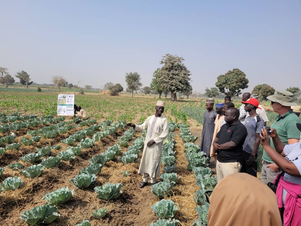 Key farmer Tukuri Ibrahim talks to visitors while standing in his cabbage demo.