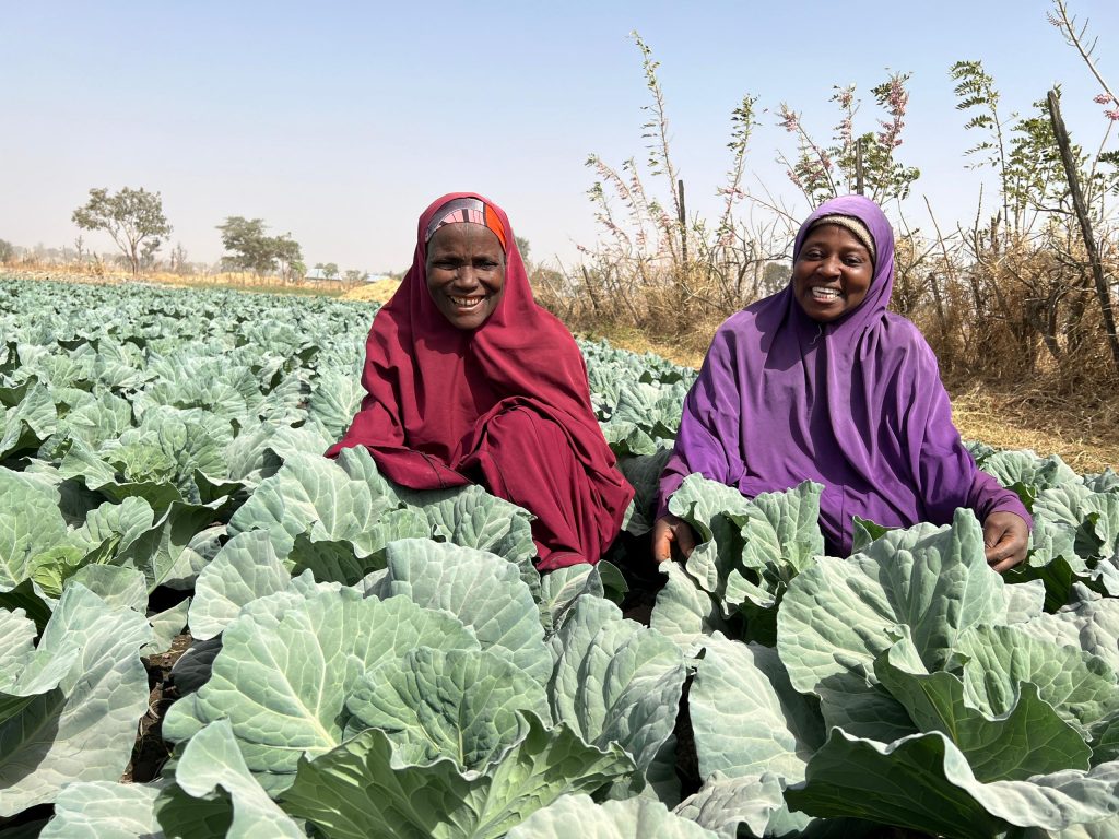 Farmers Maryam Rabin and Fatima Shehu amid the cabbages in their field.