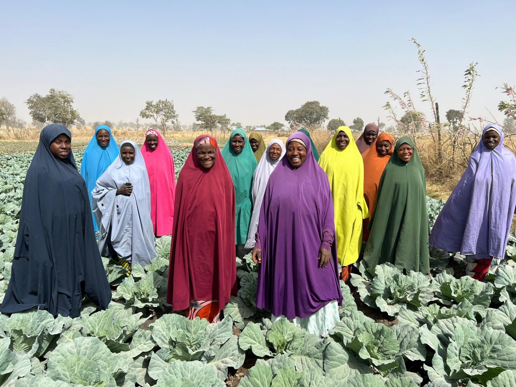 Farmers Maryam Rabin and Fatima Shehu stand in their cabbage field with other women from the community.