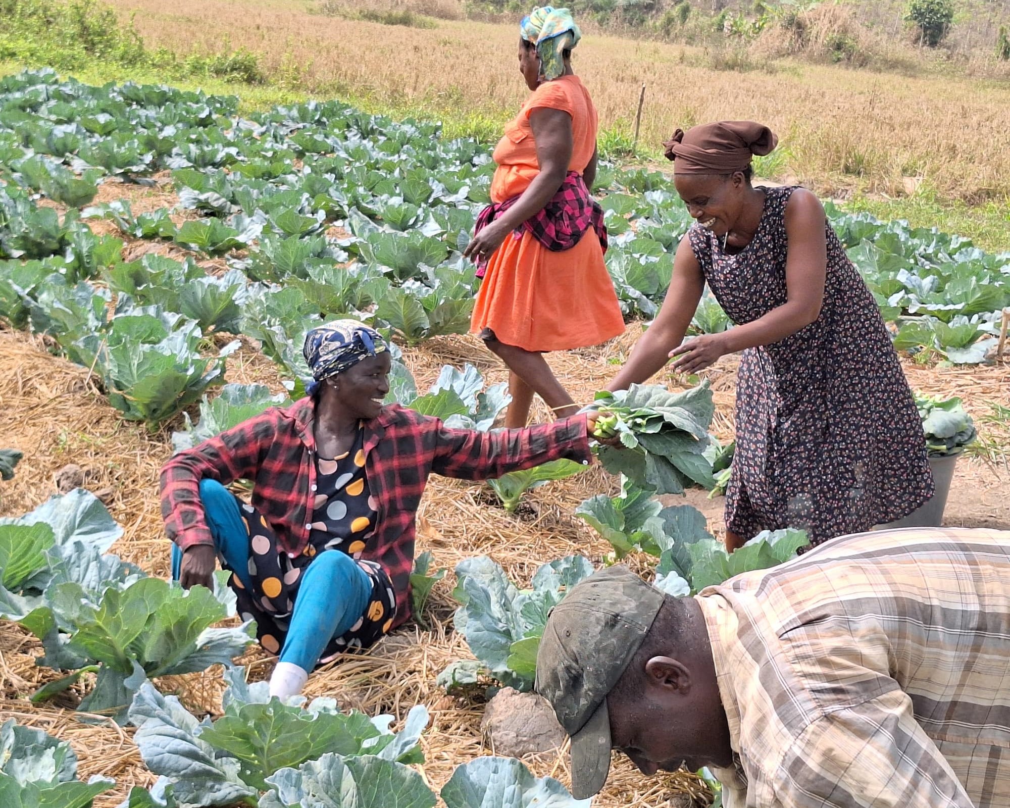 A smiling woman farmer hands a cabbage to another woman in the field, as other farmers work nearby.