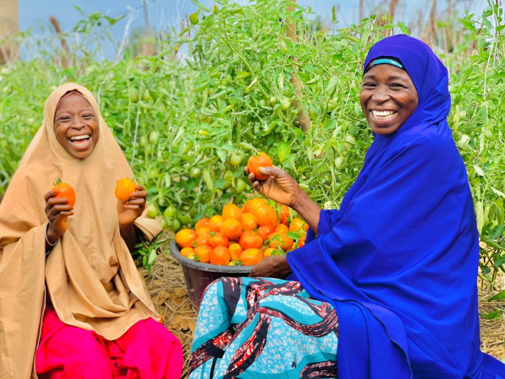 Uwandiya Alhaji and her daughter smile broadly as they hold up tomatoes from Uwandiya's harvest.