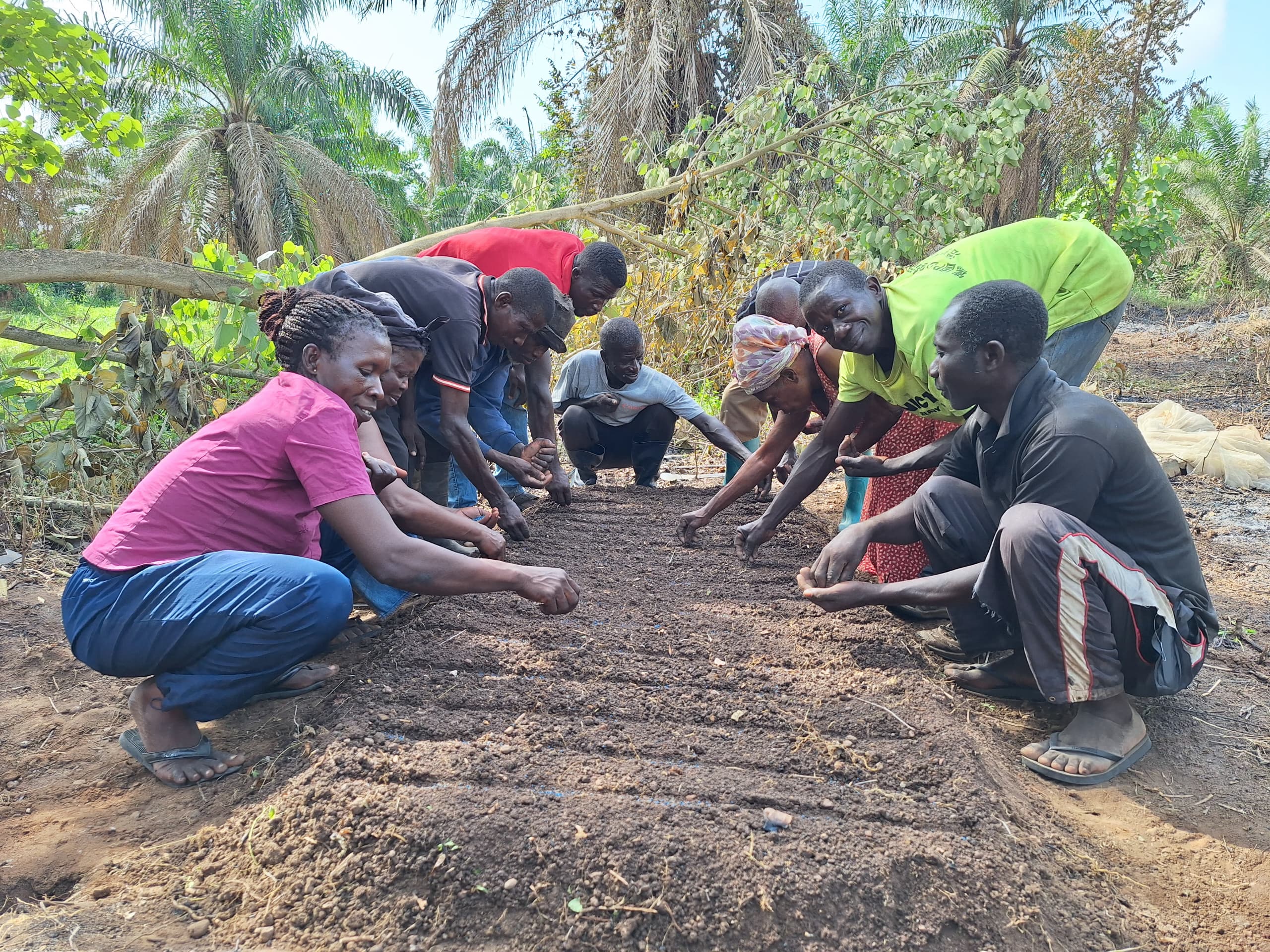 Female and male farmers plant seeds in a raised nursery bed.