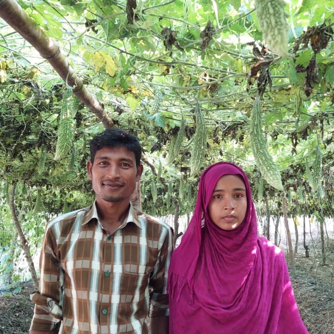 Key farmer Taslima Akter and her husband, Ayub Ali, in their bitter gourd plot.