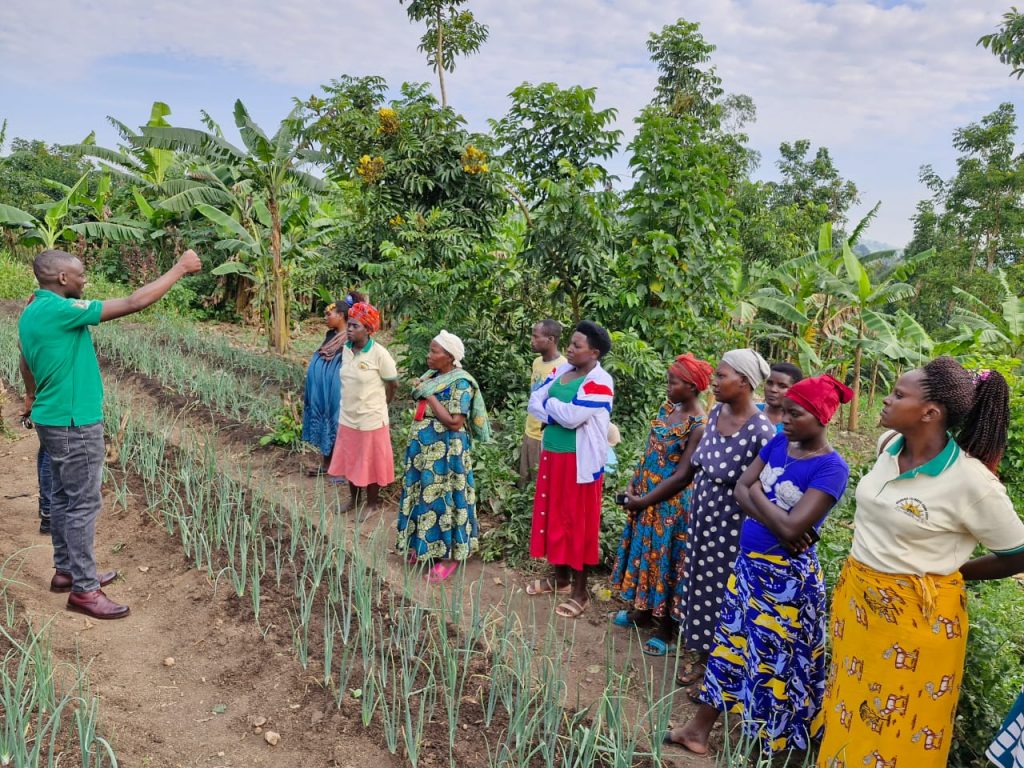 Standing in an onion field, EWS-KT Project Lead David Baguma talks to the Kanyamunziizi Twimukye Group of largely women farmers.