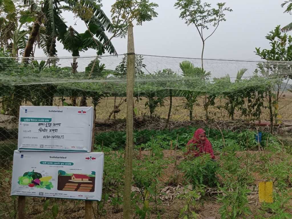 Nupur Begum works in her home garden, with an Smart Farming, Healthy Food project banner in the foreground.