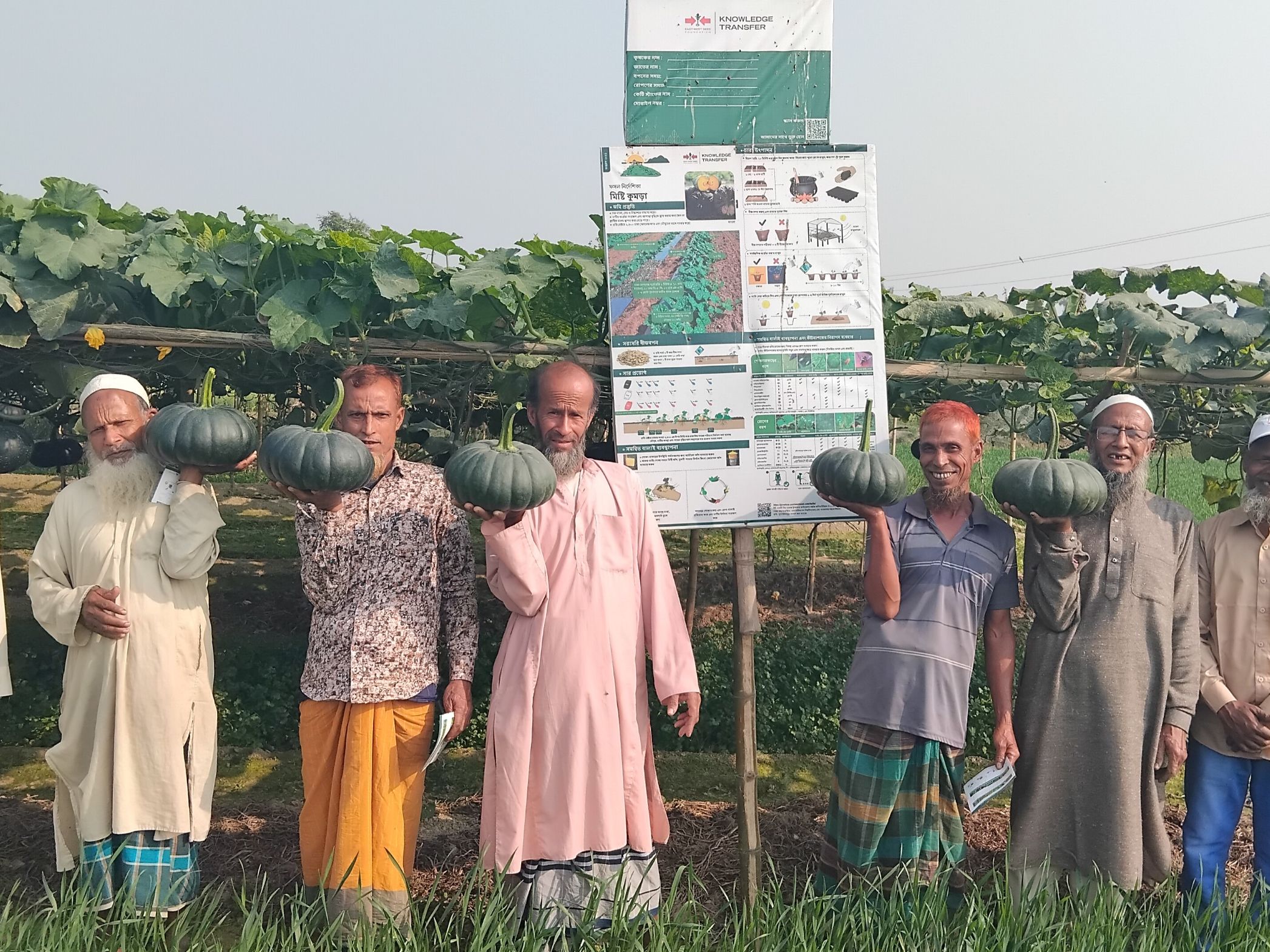 Male farmers hold pumpkins in front of a pumpkin demonstration field.
