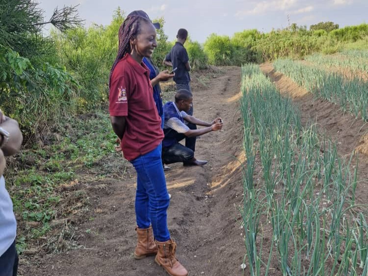 EWS-KT Technical Field Officer Faith Akampumuza smiles as she looks at the onion plot managed by the Gambanokora Group of farmers.