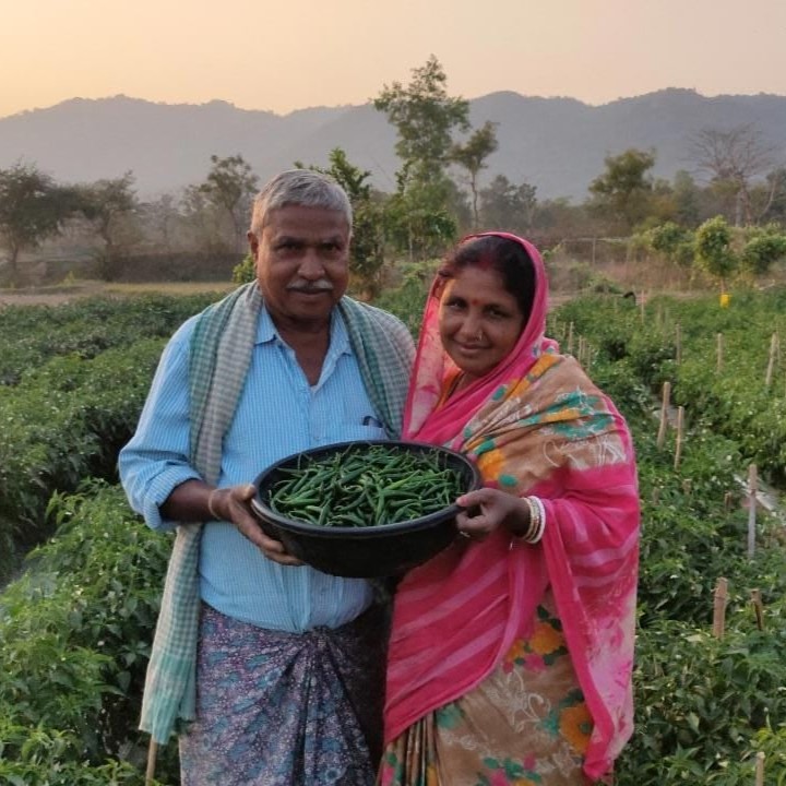 Dinesh Chandra and his wife hold their first harvest of hot pepper.