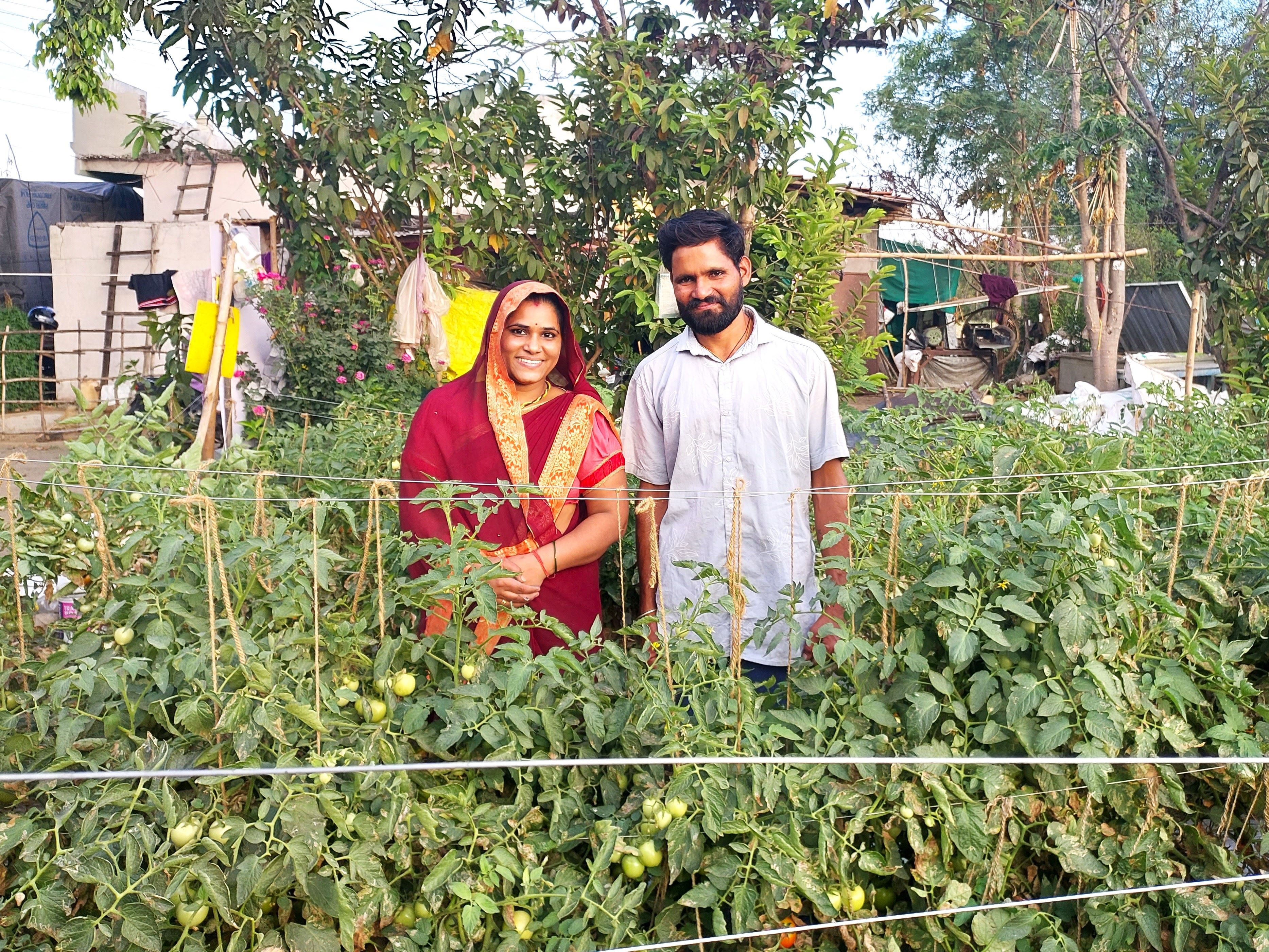 Woman and man stand in their tomato field.