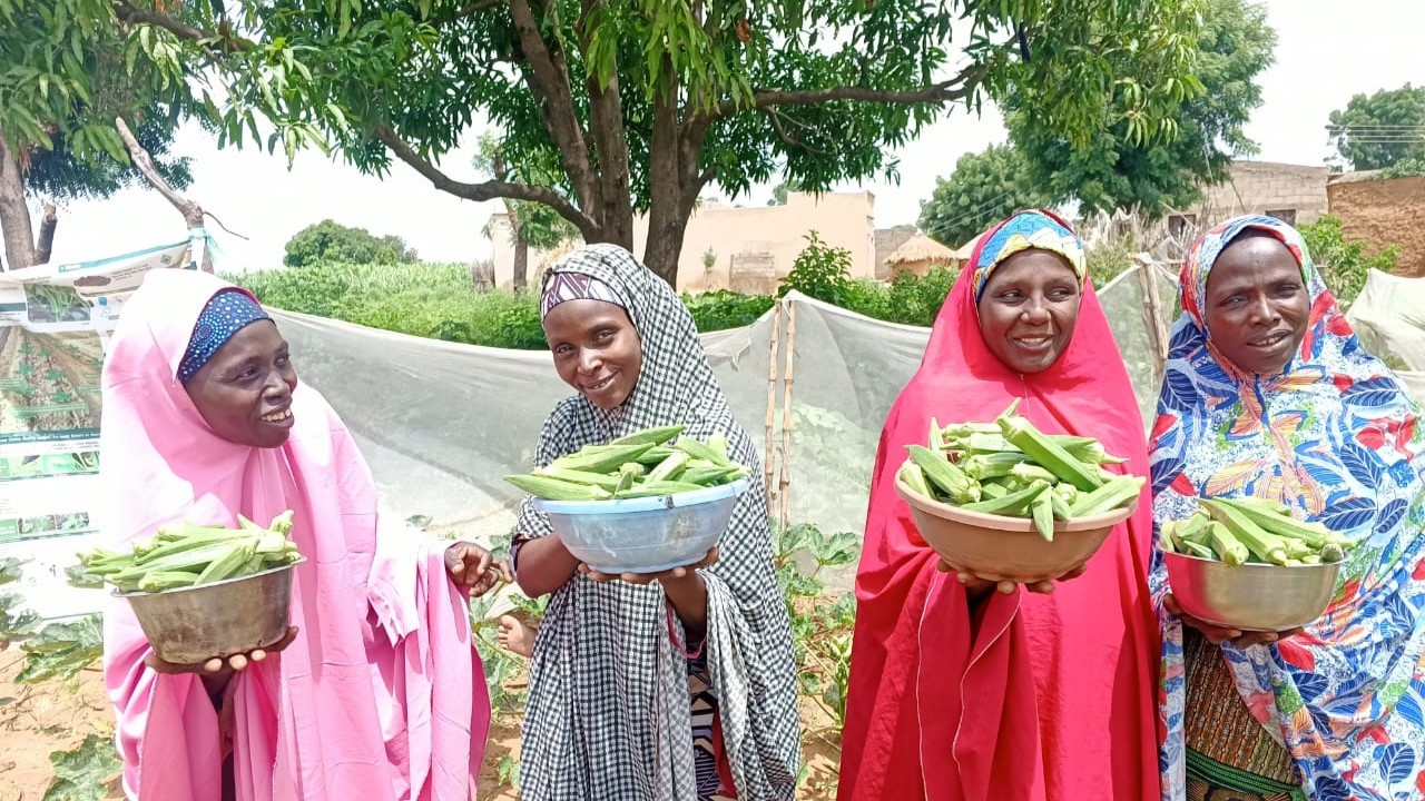 Four women hold up bowls of harvested okra.