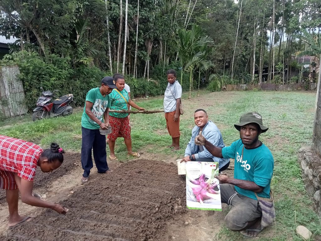 Marthen Luther and other members of young farmers group Pelita Jaya Makmur prepare a vegetable bed.