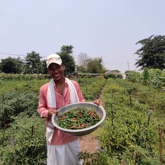 Farmer Meghnath Bordoloi holds a basket of hot peppers in his field.