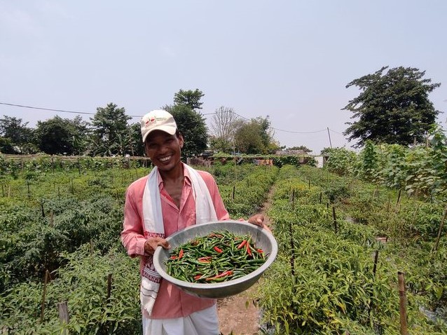Farmer Meghnath Bordoloi holds a basket of chili peppers in his field.