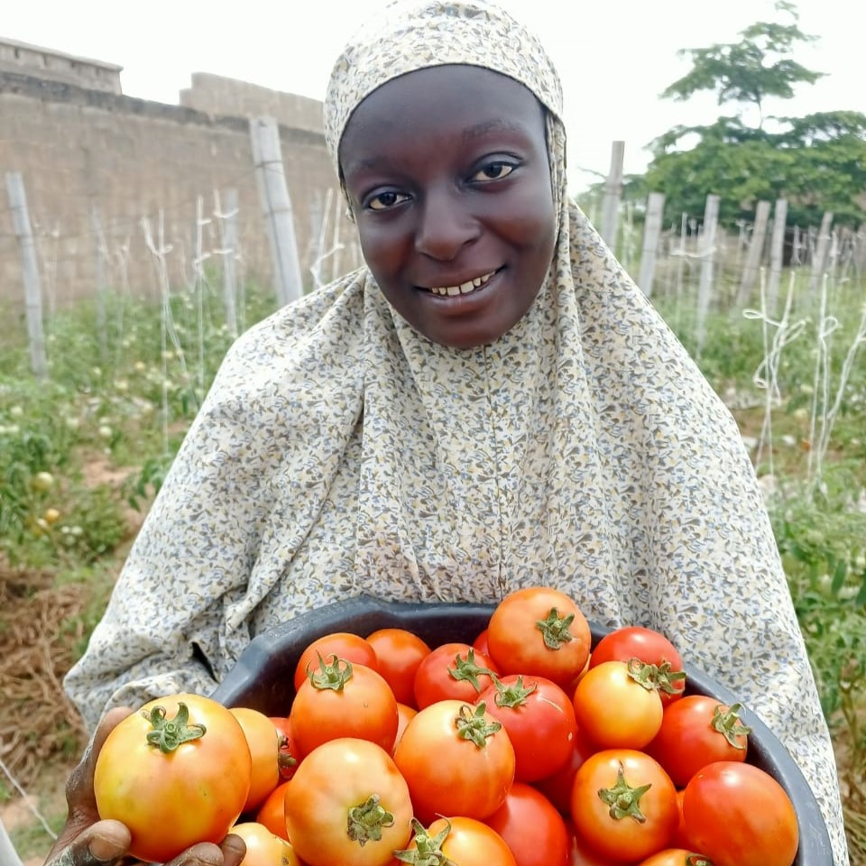 Farmer Na'ima Ado holds a container of tomatoes.