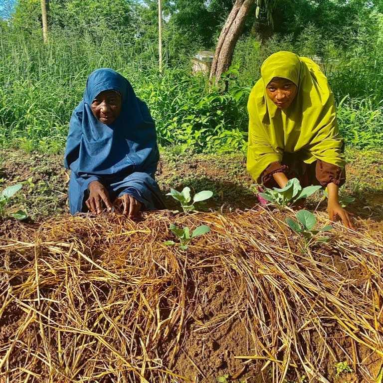 Nusaibah and her grandmother kneel behind some plants in a mulched row.
