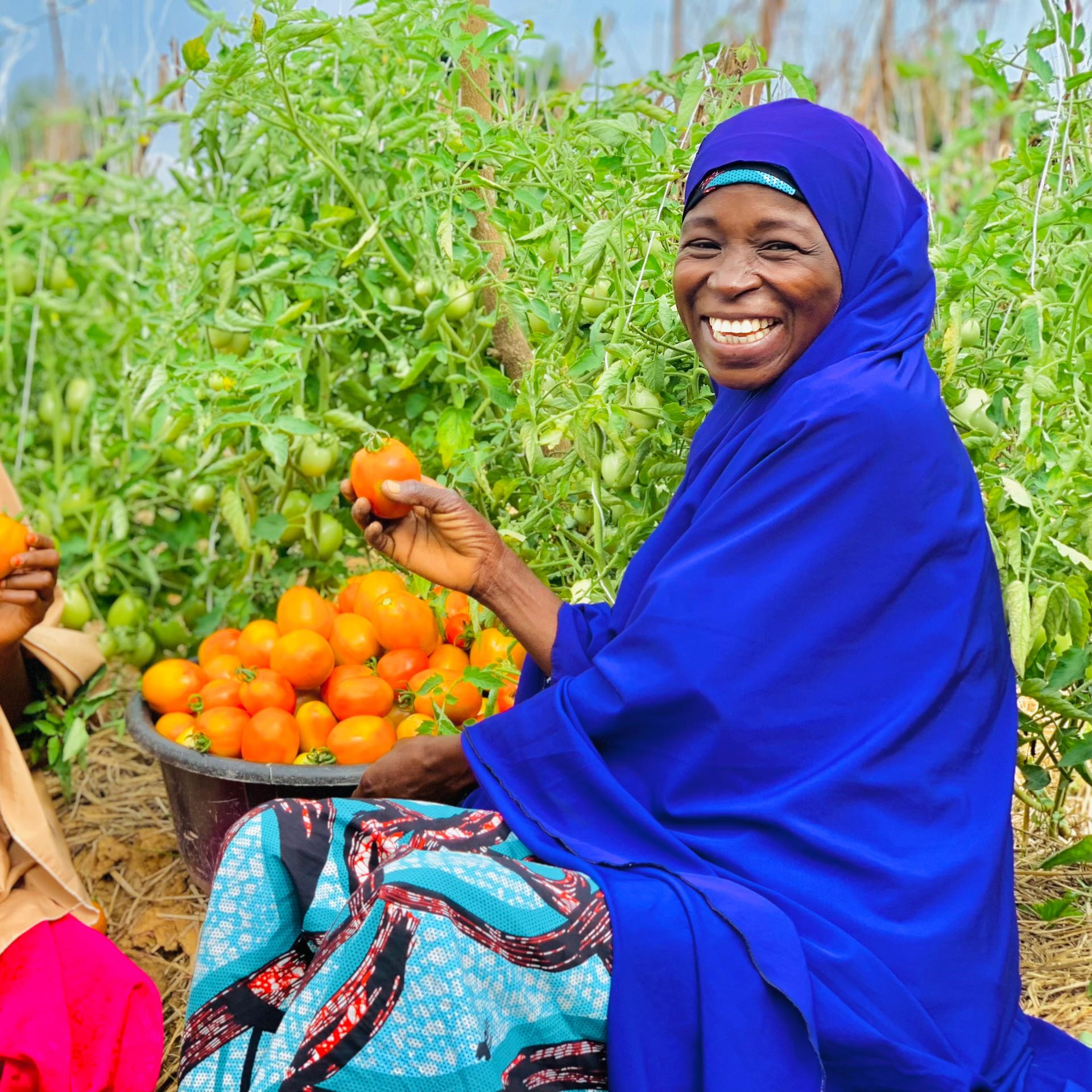Uwandiya Alhaji smiles broadly as she holds up tomatoes from her harvest.