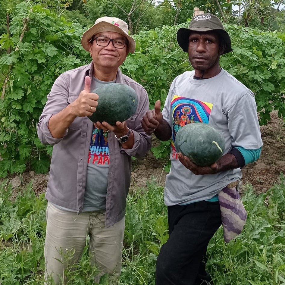 YBTS Extension Manager Edwin Saragih and farmer Marthen Luther stand in a field while holding melons.