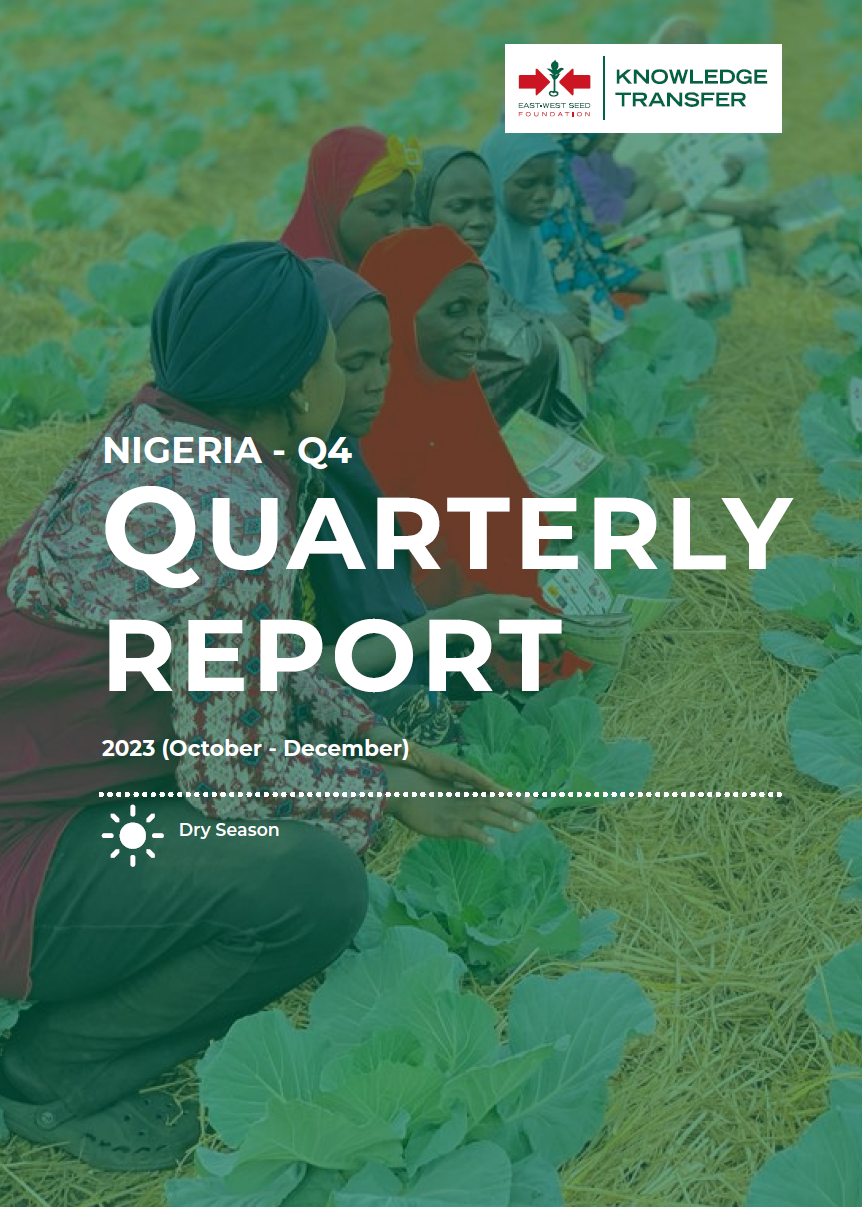 cover of Nigeria 2023 Q4 report