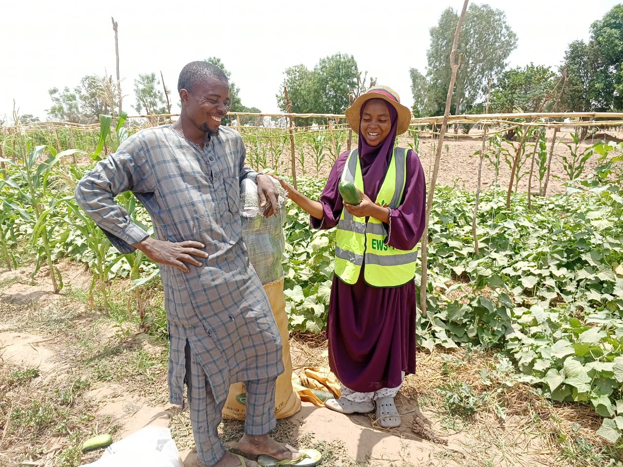 harvest of 6 bags of cucumbers adoption farmer Musa Munkailu 22 April 2024
