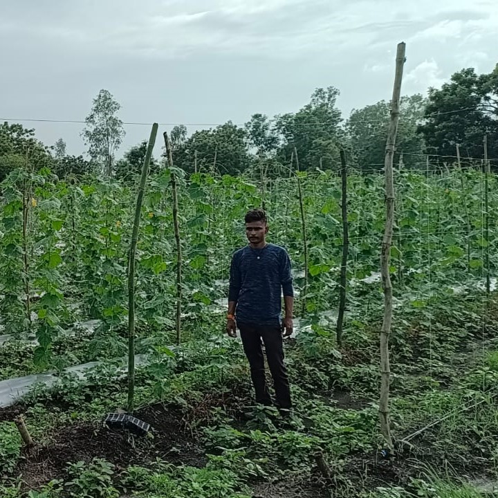 Key farmer Devkinandan, Phanda stands in the middle of his field.