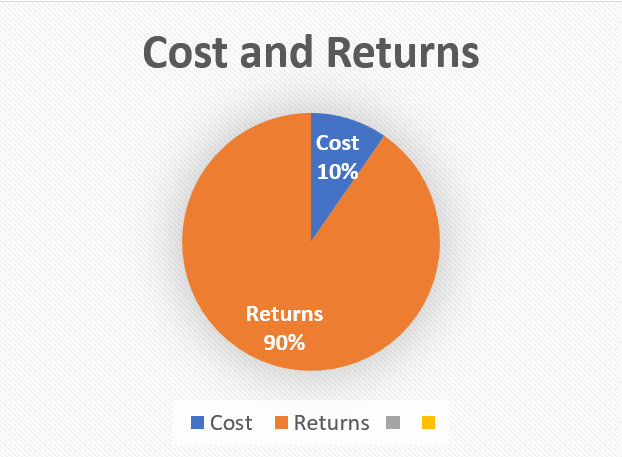 Pie chart of costs (10%) and returns (90%).