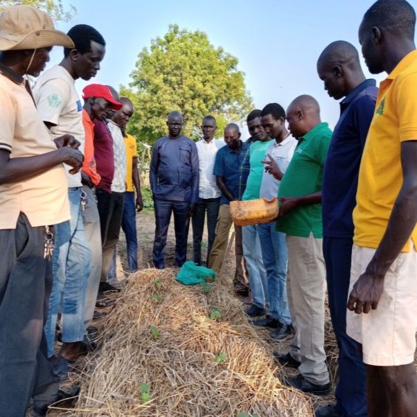 Group of people during a training, gathered around seedlings growing in a mulched raised bed.