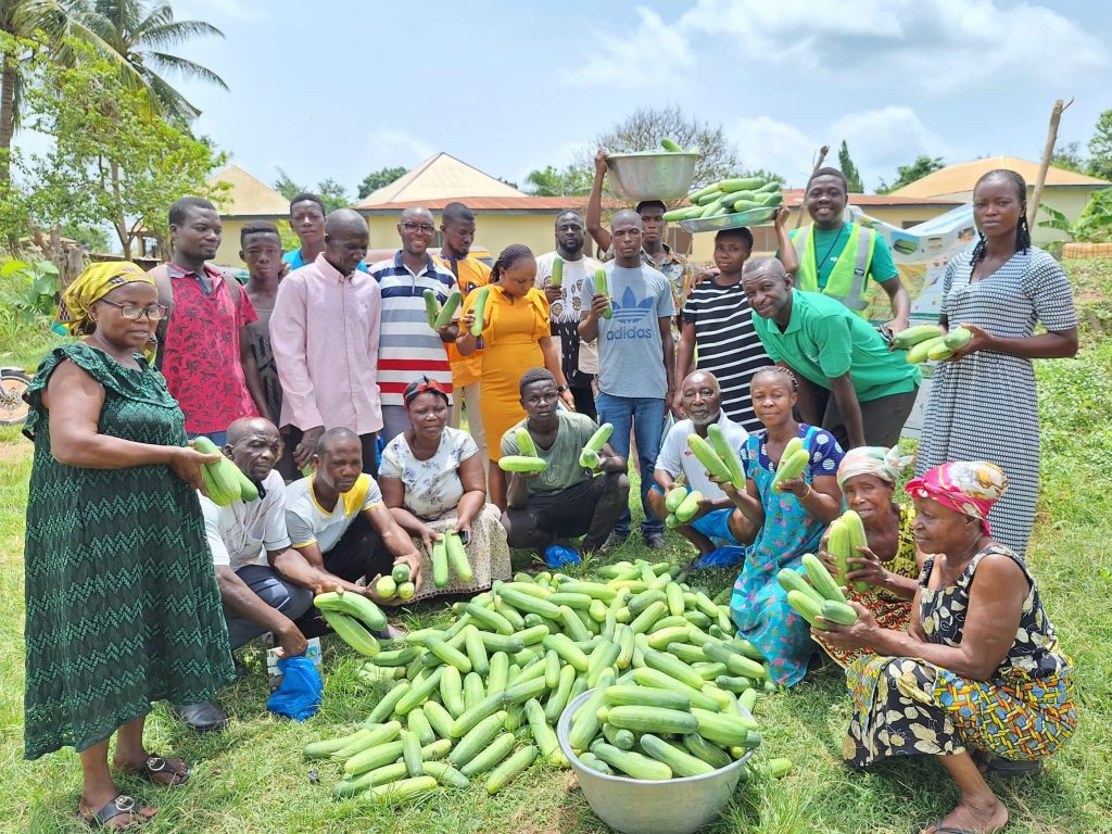 A joyous crowd around a pile of harvested cucumbers.