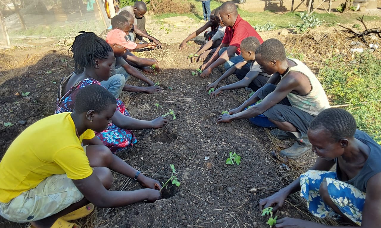 Group of farmers transplanting seedlings