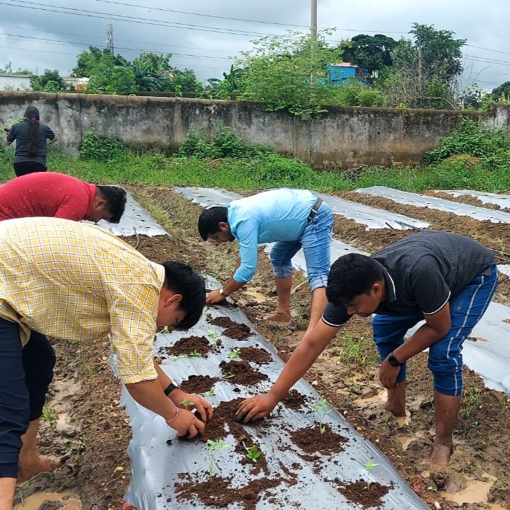 EWS-KT staff plant seedlings.