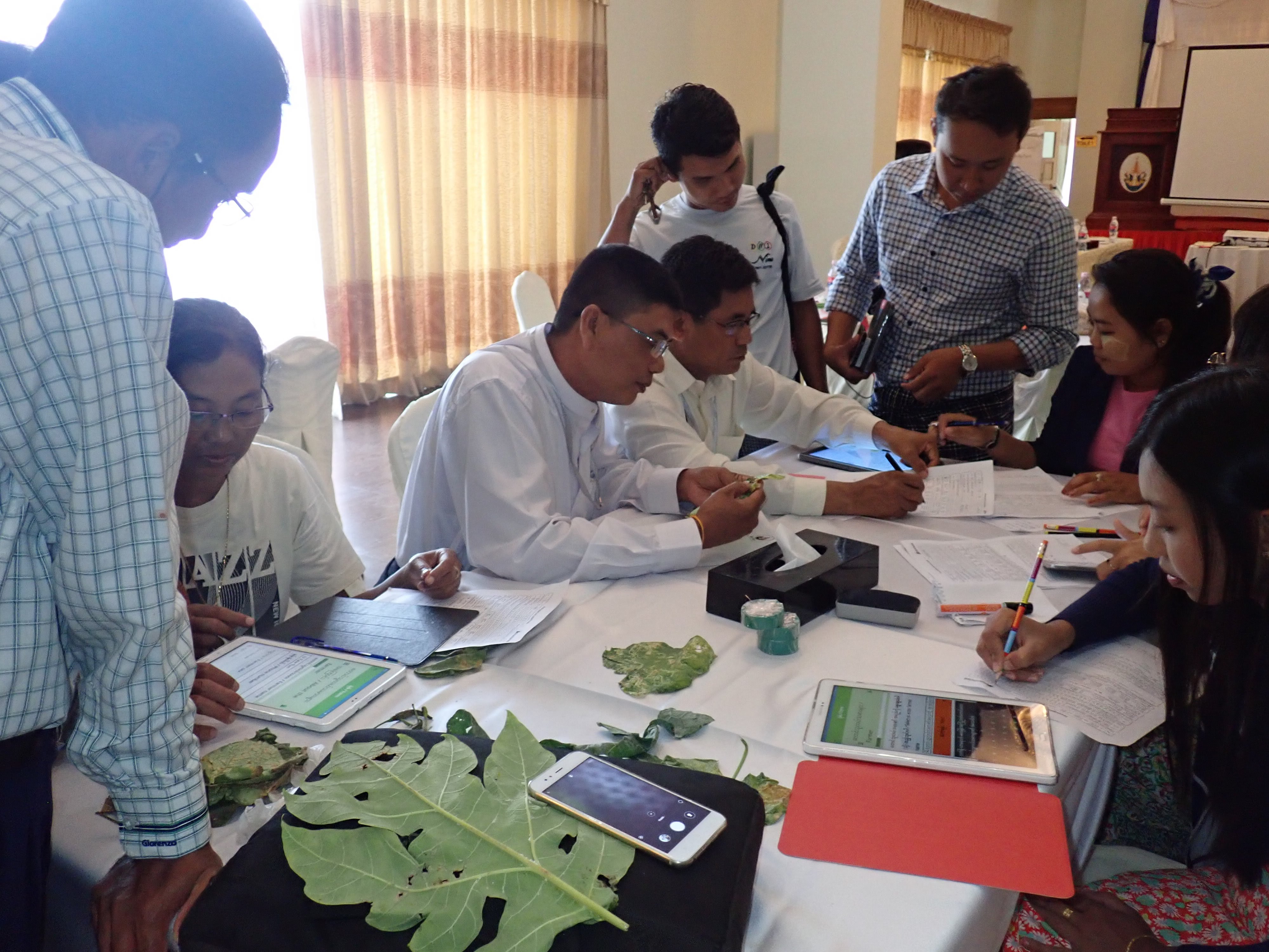 CABI staff during a training in Myanmar