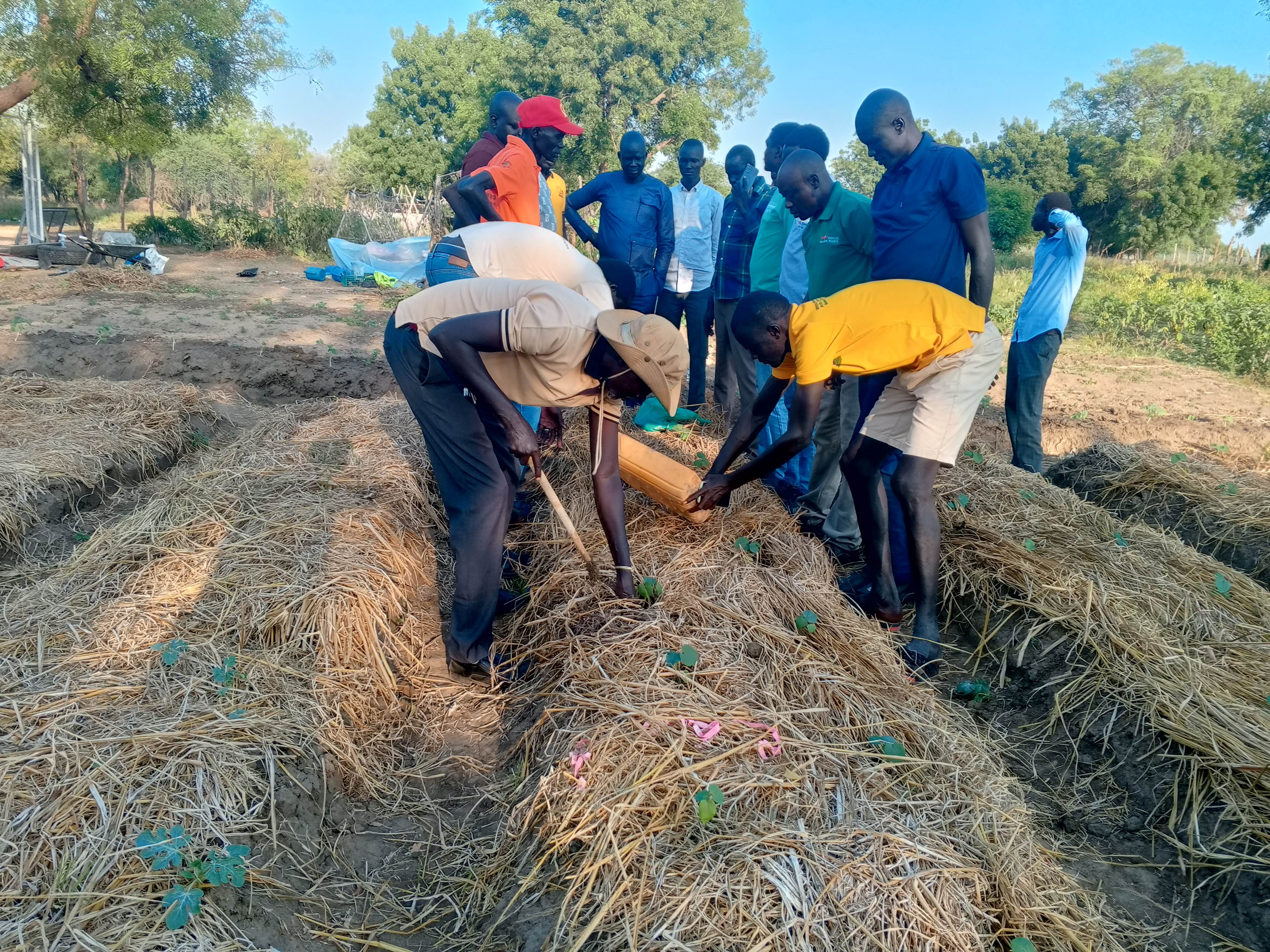 Agricultural extension specialists practice fertilization techniques during a training of trainers in Bor, South Sudan.