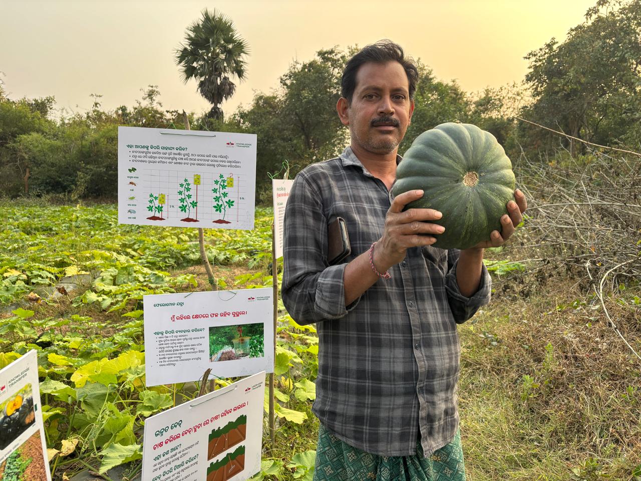 Farmer Prakash Sahu holds a pumpkin in front of the signboards for his pumpkin demo field.