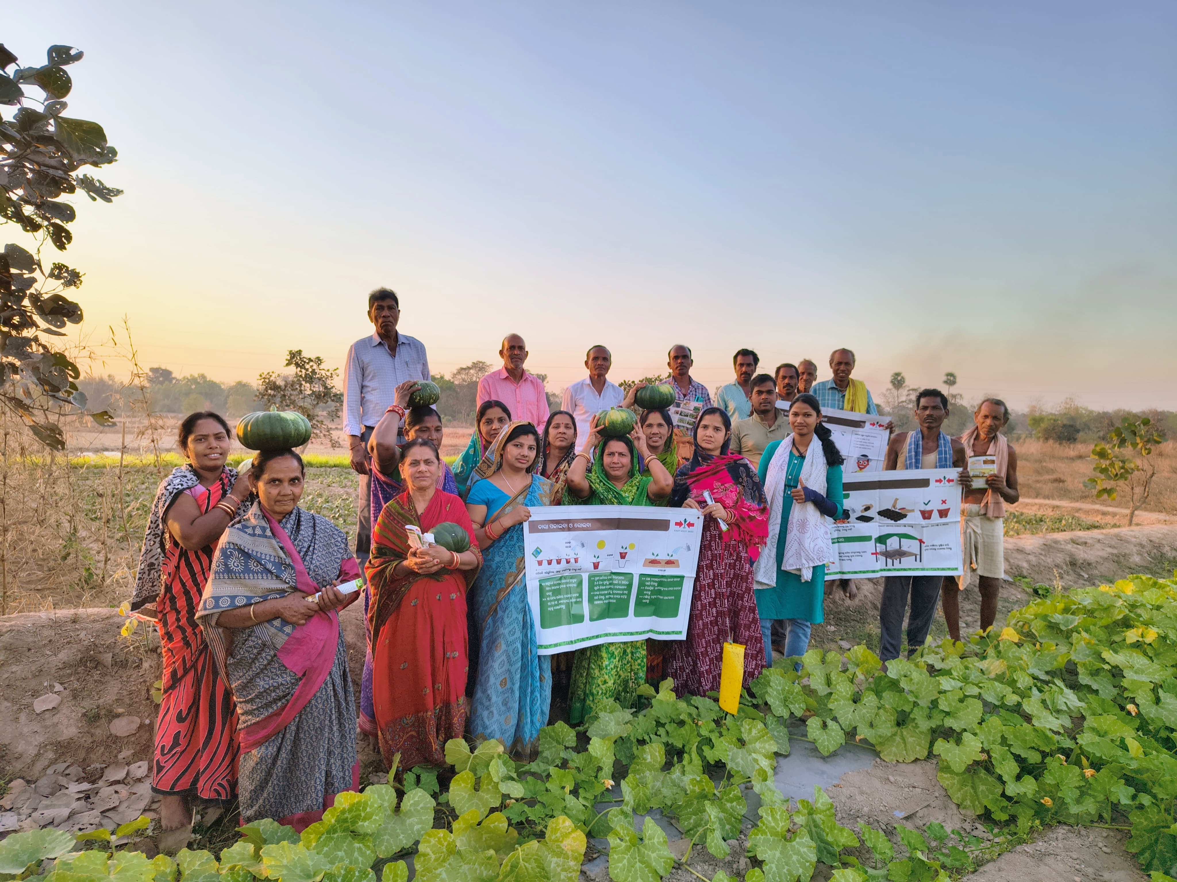 crowd of people at a Field Day training for pumpkin in Odisha.