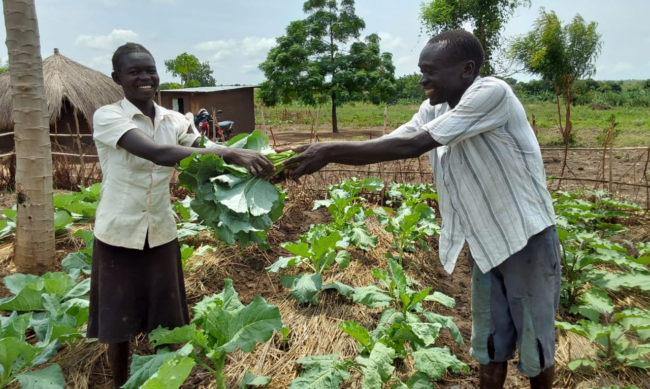 A man handing harvested greens to a woman in a home garden in Imvepi refugee settlement area.