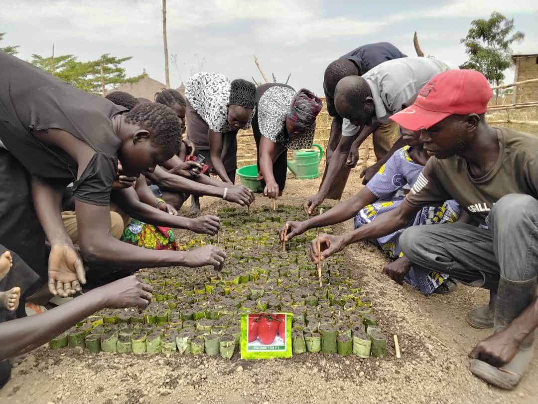 Women and men in Imvepi refugee settlement area plant seeds in the leaf pots they have created.