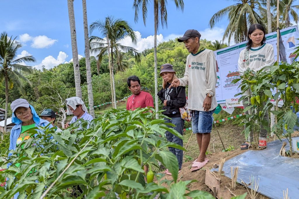 Farmer Ranel Lipapa stands as he shares insights into the low-cost irrigation system he uses.