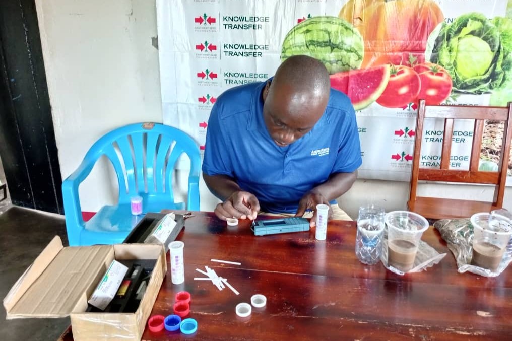 Staff member checks nitrate levels during the green manure action research in Uganda.