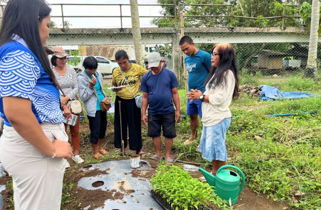 Farmers at a practical training on seedling transplanting.