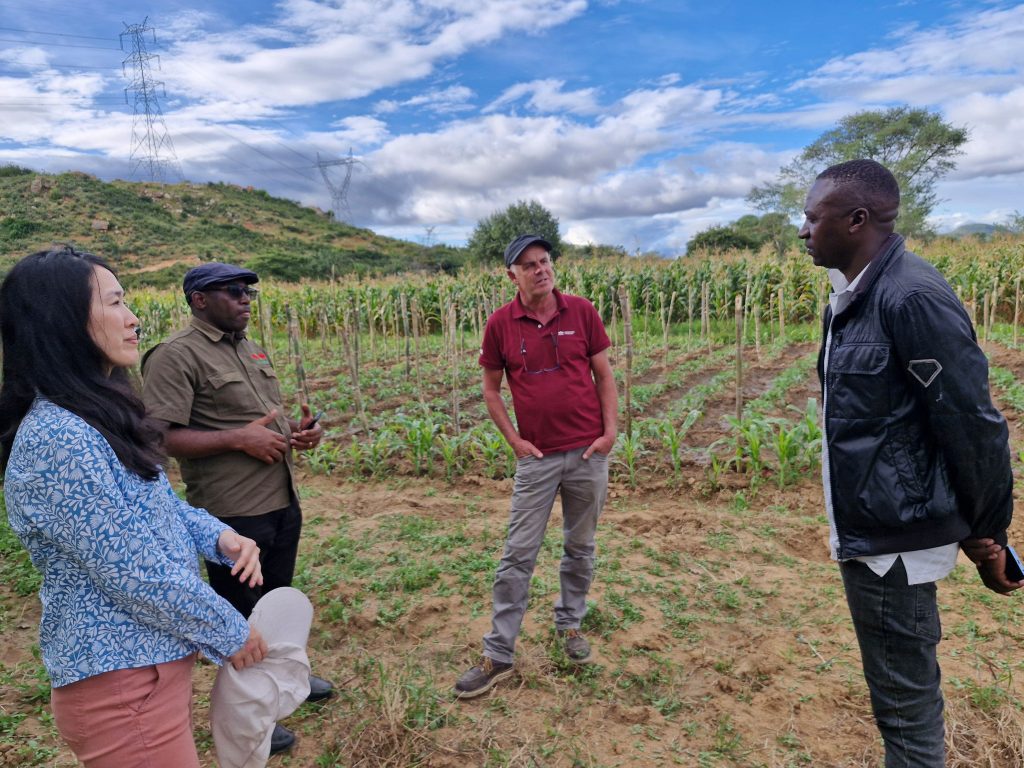 EWS-KT staff talk with aggregator Emmili Lupumbwe in front of a field.